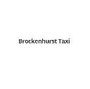 Brokenhurst Taxi logo